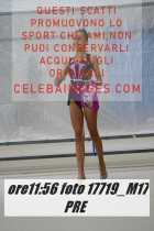 17719_M17-PRE-