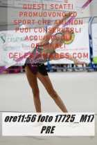 17725_M17-PRE-