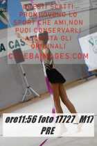 17727_M17-PRE-