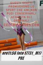 17731_M17-PRE-