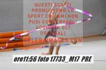 17733_M17-PRE-
