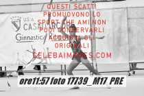 17739_M17-PRE-