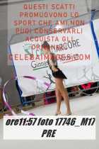 17746_M17-PRE-