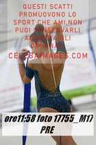 17755_M17-PRE-
