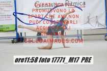 17771_M17-PRE-