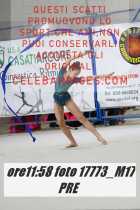 17773_M17-PRE-