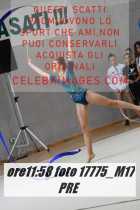 17775_M17-PRE-