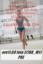 17788_M17-PRE-