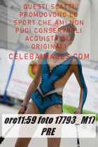 17793_M17-PRE-