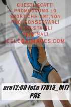 17813_M17-PRE-