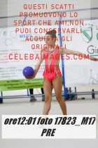 17823_M17-PRE-