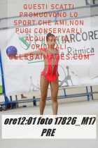17826_M17-PRE-