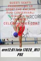 17828_M17-PRE-