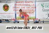 17831_M17-PRE-