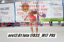 17833_M17-PRE-