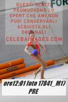 17841_M17-PRE-