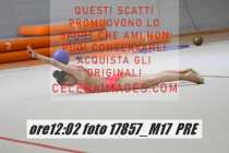 17857_M17-PRE-