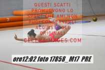 17858_M17-PRE-