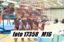 17358_M16-