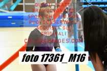 17361_M16-