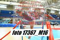 17367_M16-