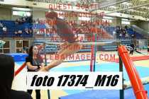 17374_M16-