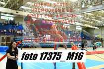 17375_M16-
