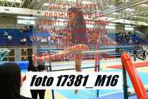 17381_M16-