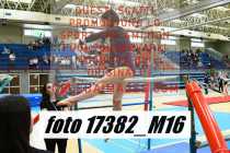 17382_M16-