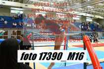 17390_M16-