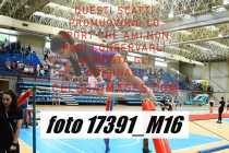 17391_M16-