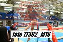 17392_M16-