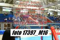 17397_M16-