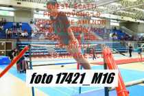 17421_M16-