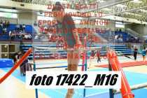 17422_M16-