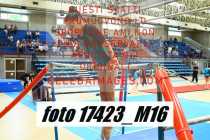 17423_M16-