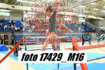17429_M16-