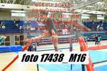 17438_M16-