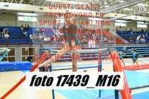 17439_M16-