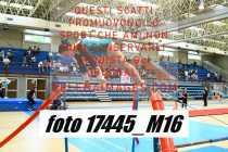 17445_M16-