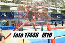 17446_M16-