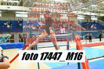 17447_M16-