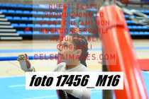 17456_M16-