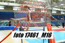 17461_M16-