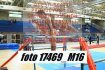 17469_M16-