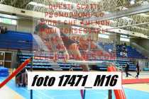 17471_M16-