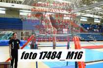 17484_M16-