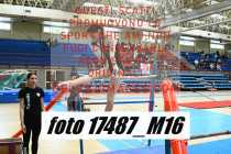 17487_M16-