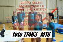 17493_M16-