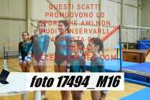 17494_M16-